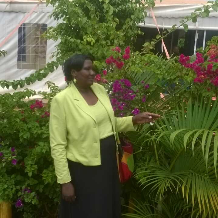 saidaatala avatar picture